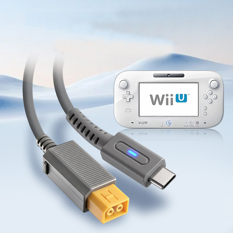 Wii U 콘솔용 C타입 45W PD 충전 케이블, 닌 - Gaming Console Latest 리뷰 및 가격